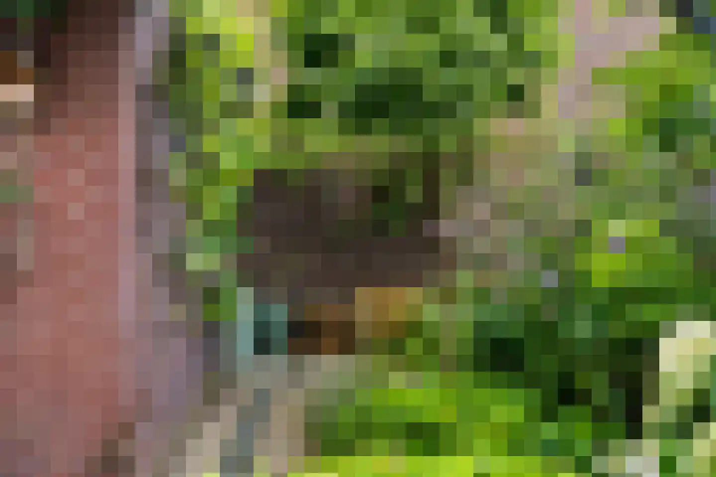 De Eersteling 24 Velp thumbnail 34