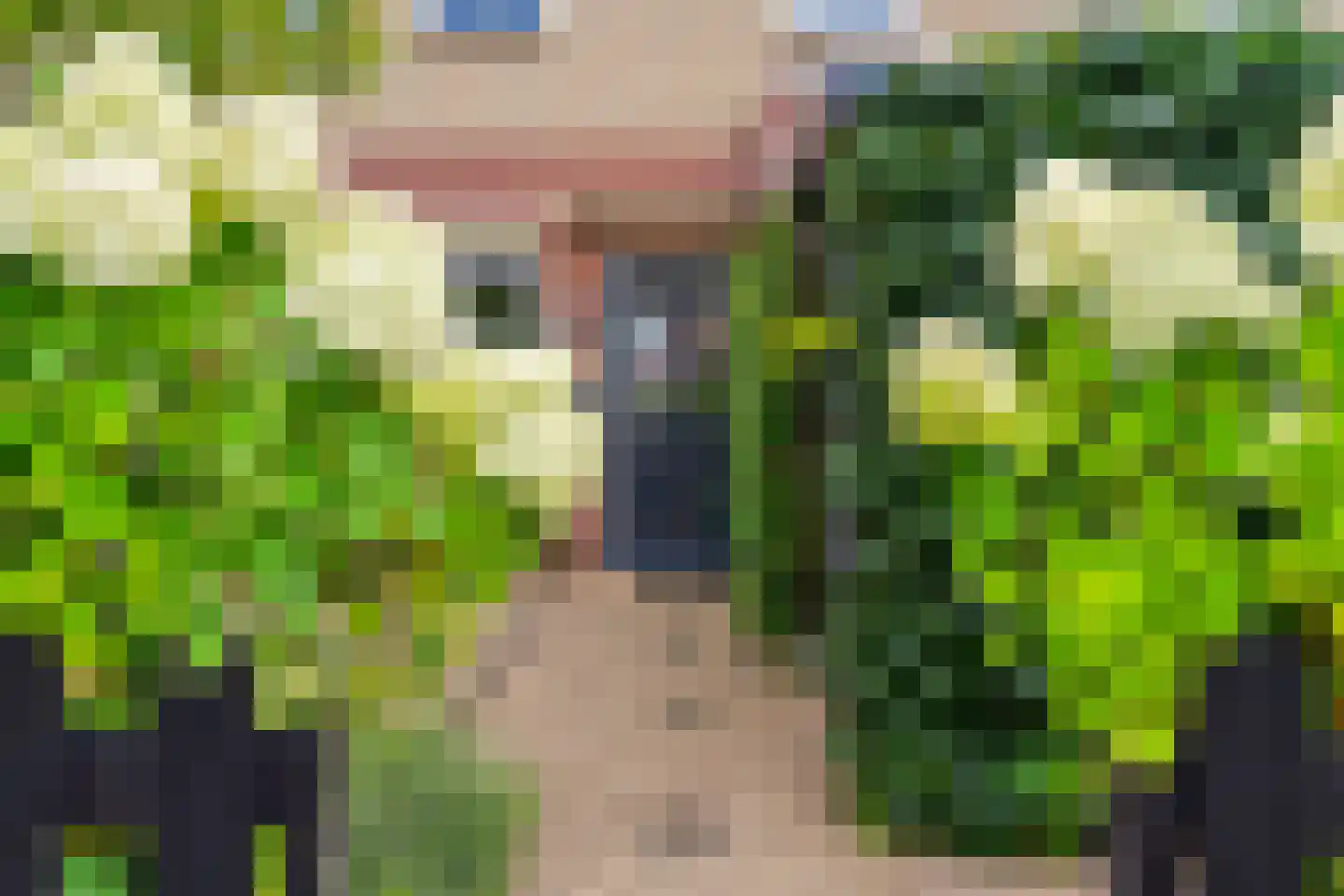 De Eersteling 24 Velp thumbnail 7