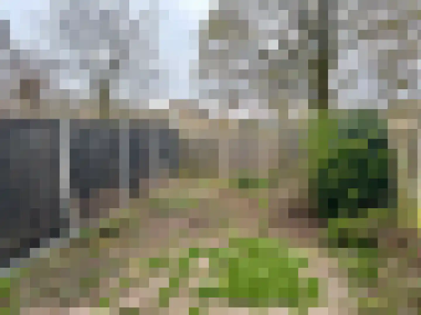 De Eese 44 Almelo thumbnail 19