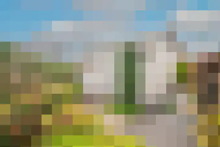 de Eg 29 Heerhugowaard thumbnail 45