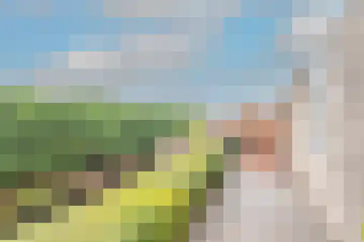 de Eg 29 Heerhugowaard thumbnail 48