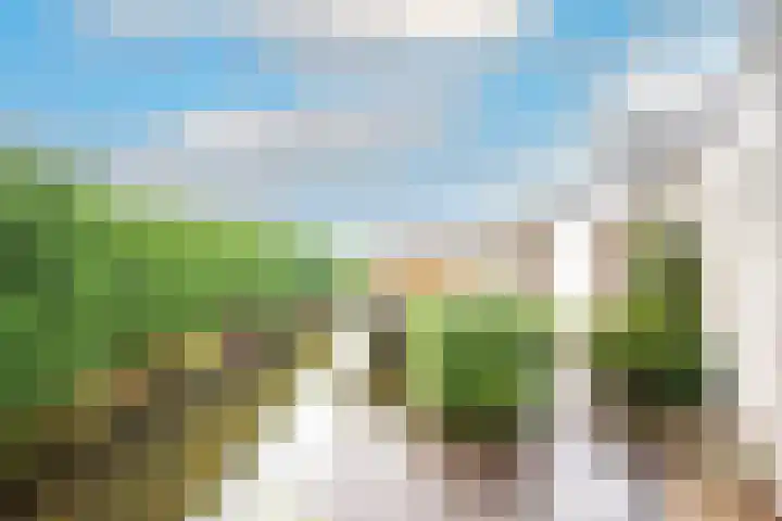 de Eg 29 Heerhugowaard thumbnail 49