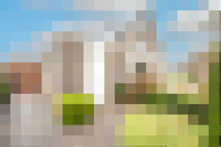 de Eg 29 Heerhugowaard thumbnail 50