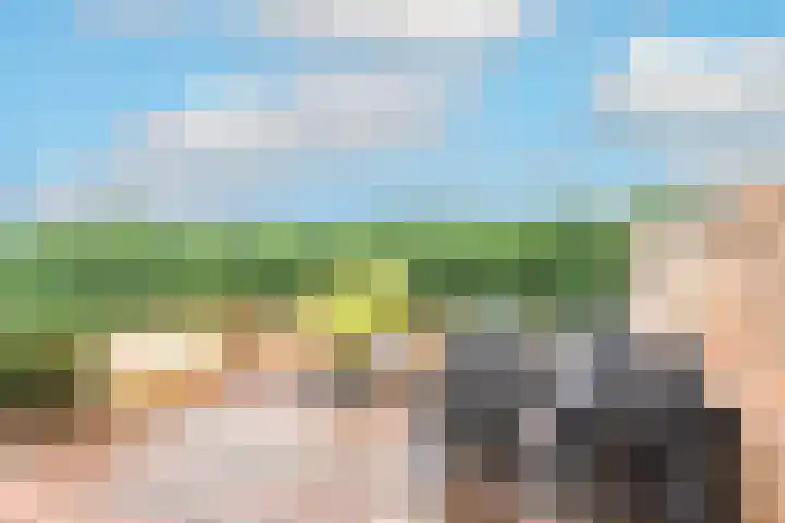 de Eg 29 Heerhugowaard thumbnail 52
