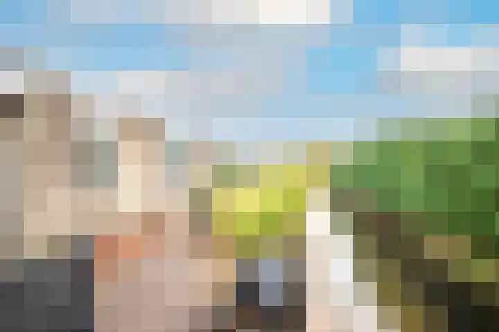 de Eg 29 Heerhugowaard thumbnail 53