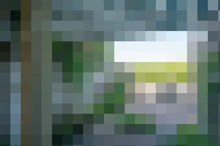 de Eg 31 Heerhugowaard thumbnail 50