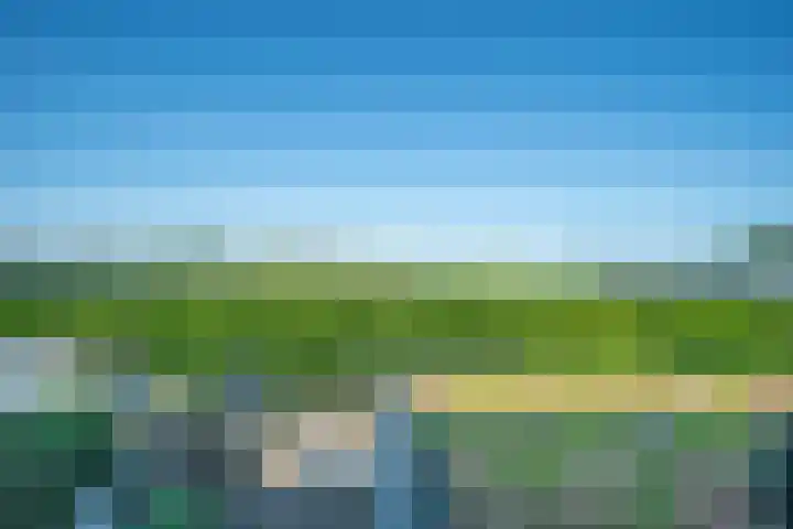 de Eg 31 Heerhugowaard thumbnail 52