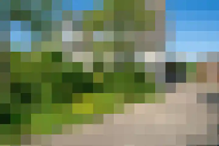 de Eg 31 Heerhugowaard thumbnail 57