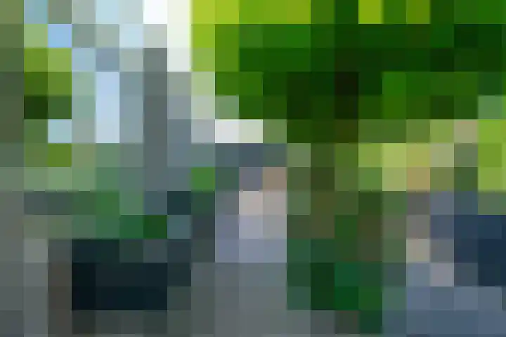 de Eg 31 Heerhugowaard thumbnail 63