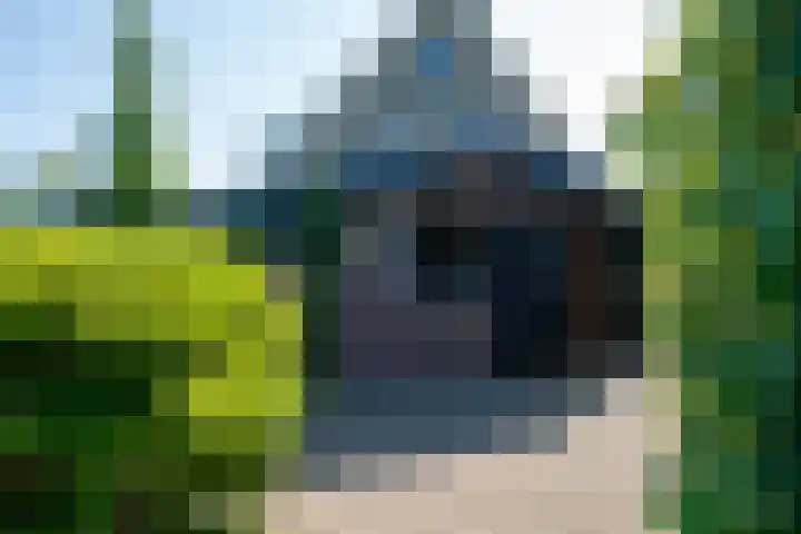 de Eg 31 Heerhugowaard thumbnail 65