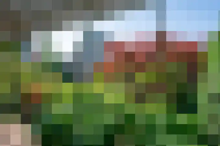 de Eg 31 Heerhugowaard thumbnail 74