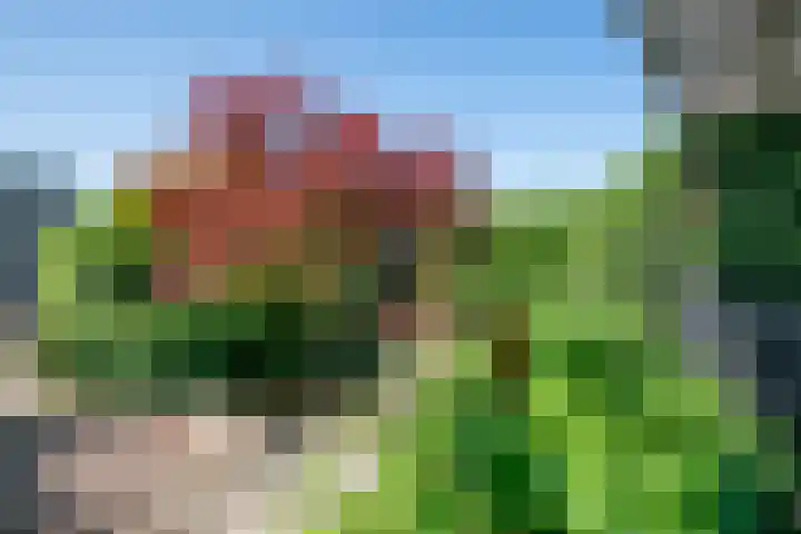 de Eg 31 Heerhugowaard thumbnail 75