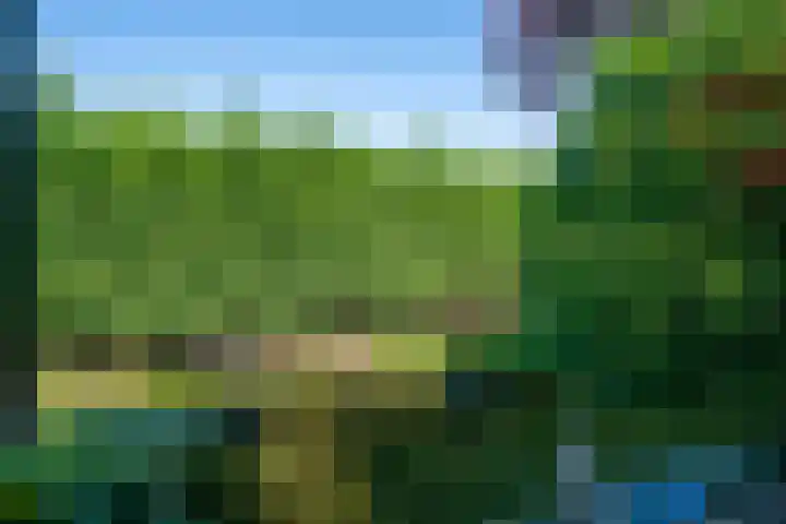 de Eg 31 Heerhugowaard thumbnail 76