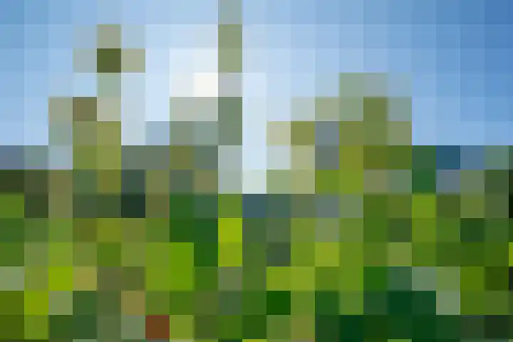 de Eg 31 Heerhugowaard thumbnail 77