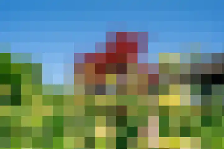 de Eg 31 Heerhugowaard thumbnail 79