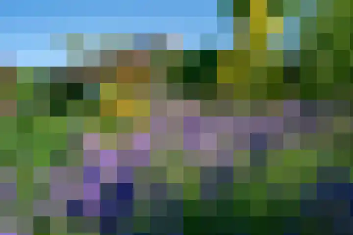 de Eg 31 Heerhugowaard thumbnail 80