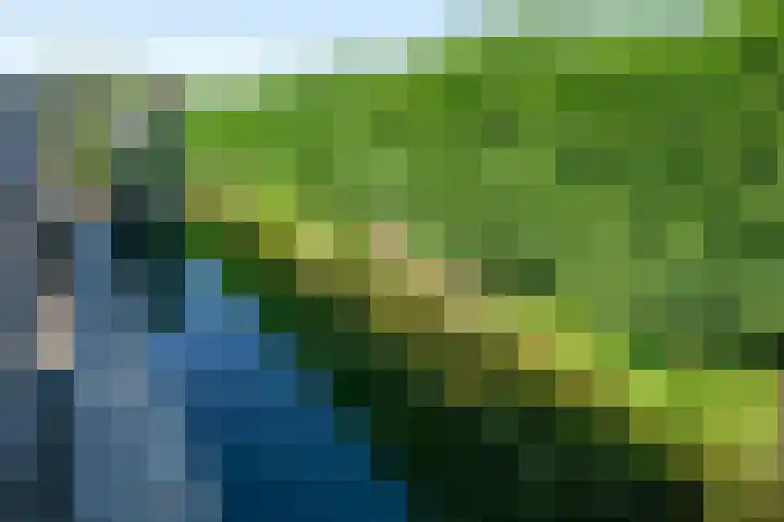 de Eg 31 Heerhugowaard thumbnail 82