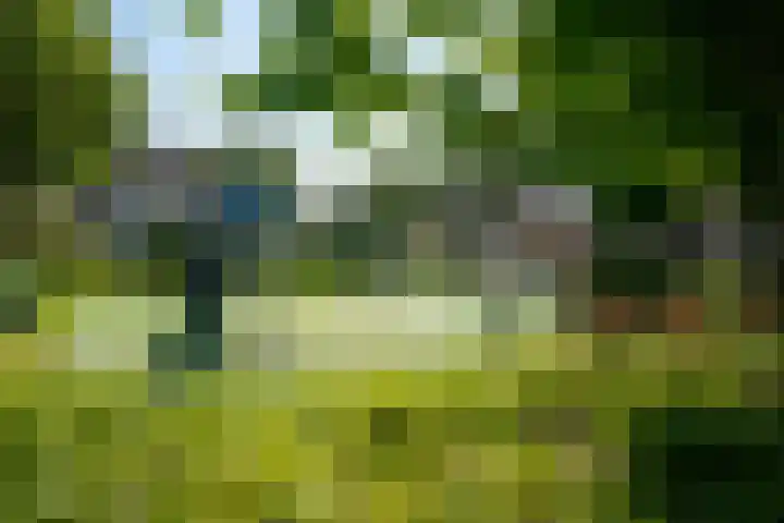 de Eg 31 Heerhugowaard thumbnail 88