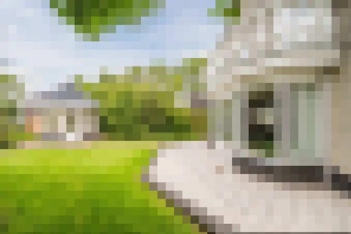 de Eg 43 Heerhugowaard thumbnail 53