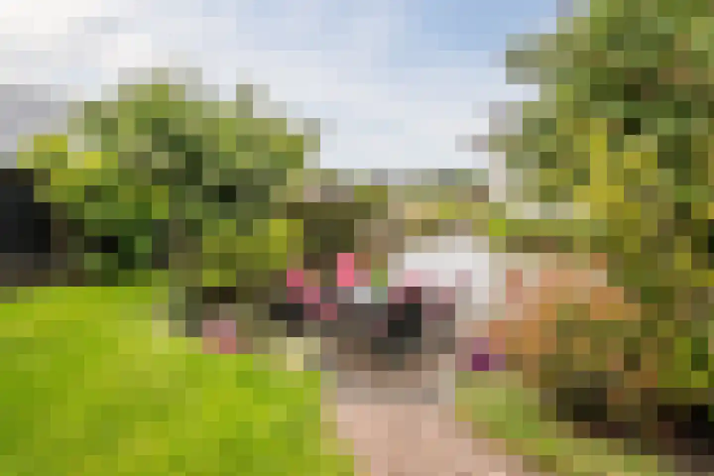 de Eg 43 Heerhugowaard thumbnail 57