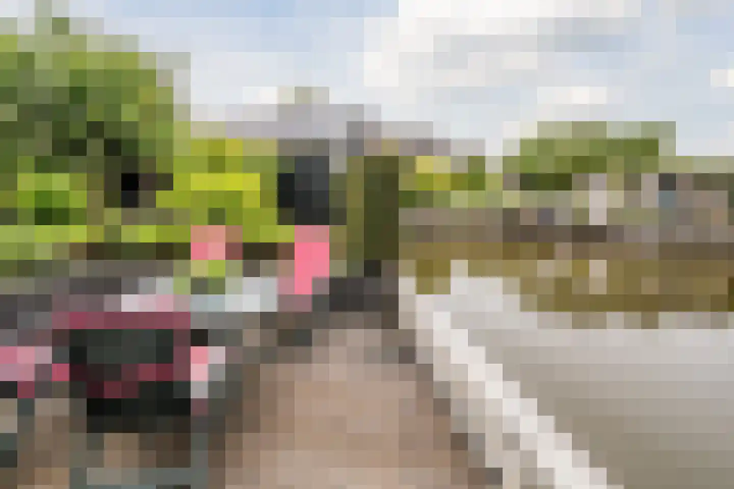 de Eg 43 Heerhugowaard thumbnail 59