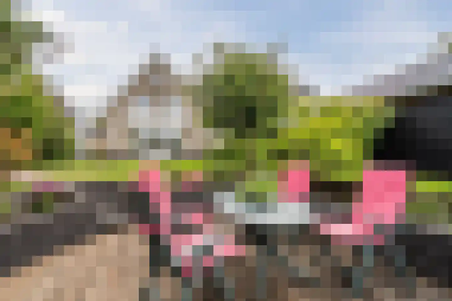 de Eg 43 Heerhugowaard thumbnail 60