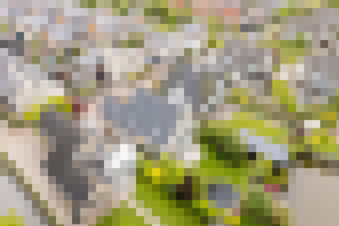de Eg 43 Heerhugowaard thumbnail 66