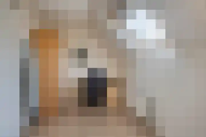 de Egge 42 Varsseveld thumbnail 38