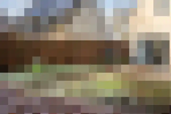 de Egge 42 Varsseveld thumbnail 55
