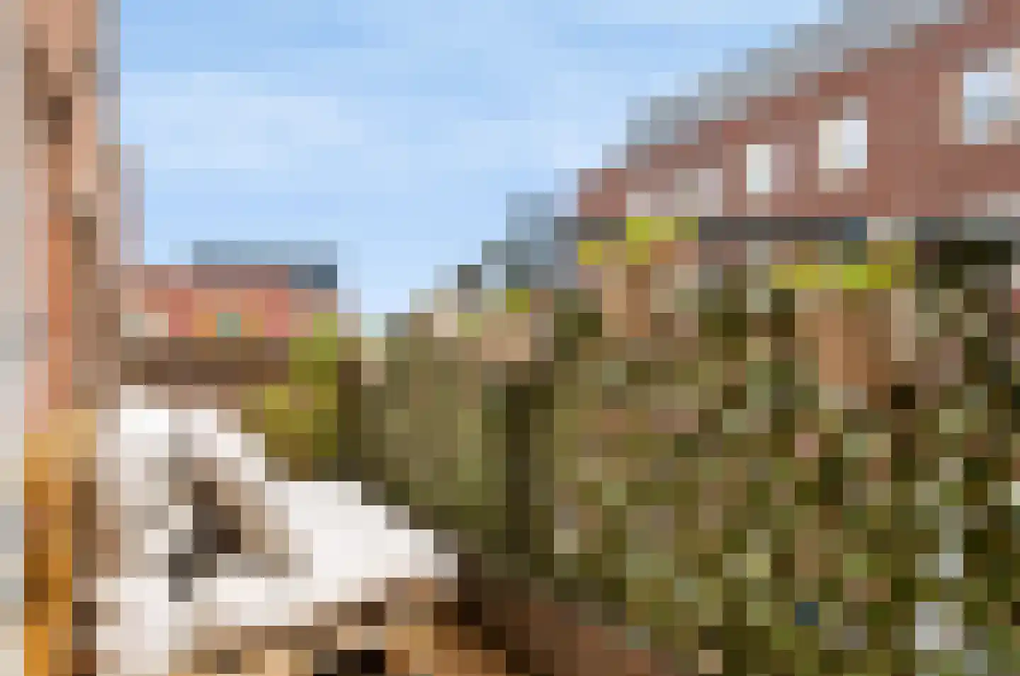 De Eglantier 317 Apeldoorn thumbnail 14
