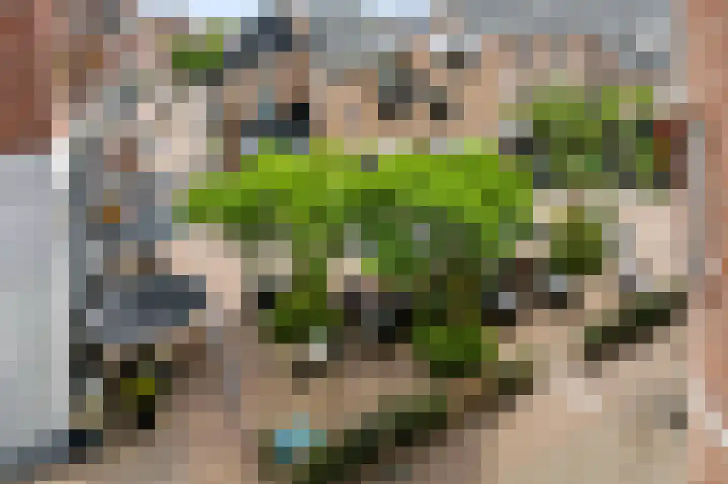 De Eglantier 317 Apeldoorn thumbnail 15