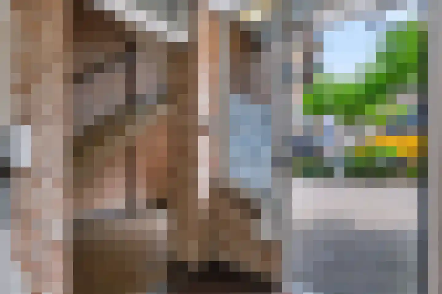 De Eglantier 317 Apeldoorn thumbnail 30