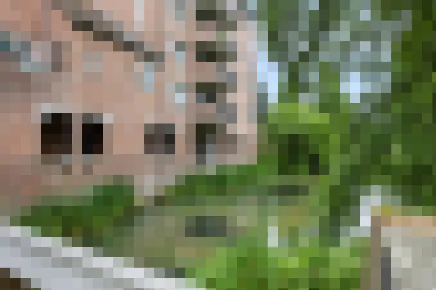De Eglantier 317 Apeldoorn thumbnail 35