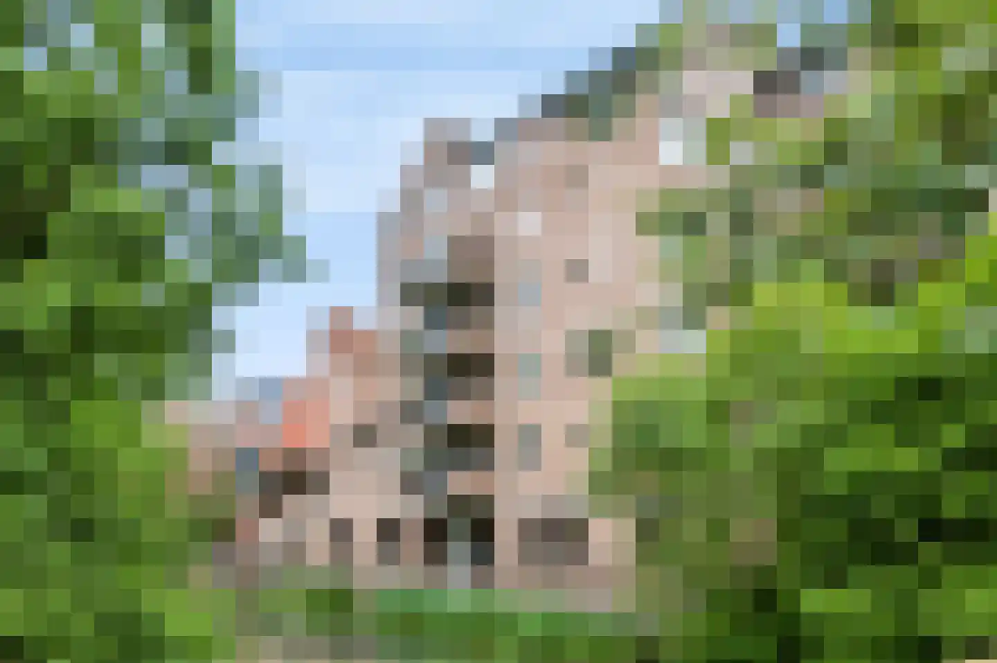 De Eglantier 317 Apeldoorn thumbnail 36