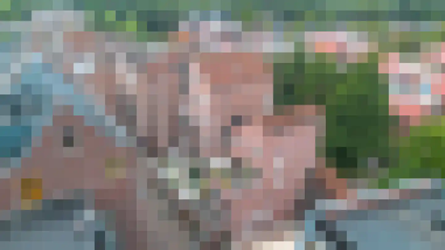 De Eglantier 317 Apeldoorn thumbnail 37