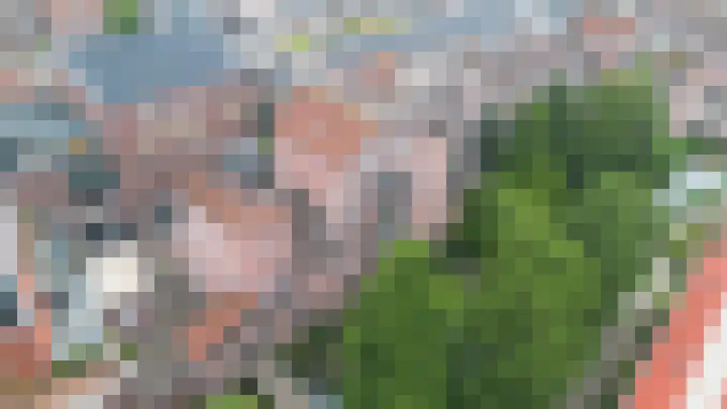 De Eglantier 317 Apeldoorn thumbnail 39