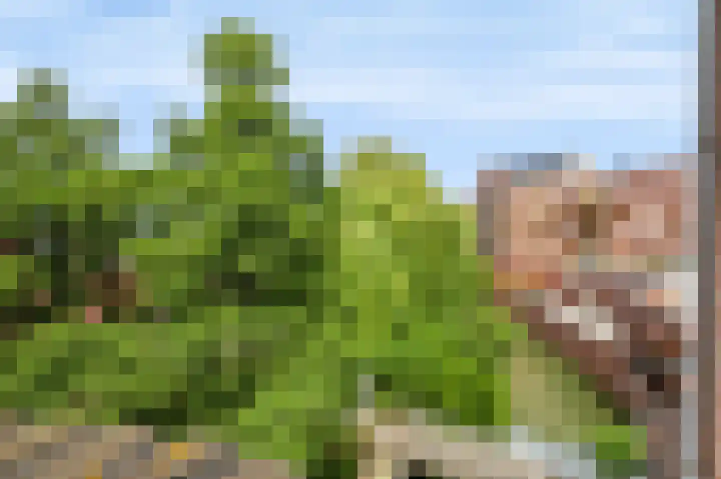 De Eglantier 317 Apeldoorn thumbnail 6