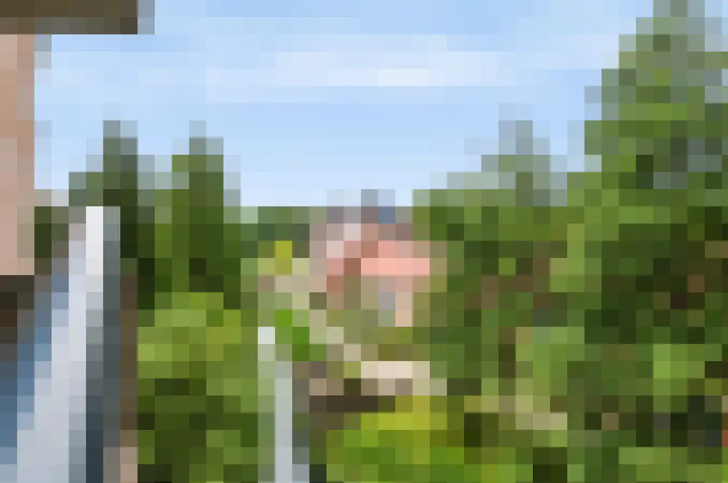 De Eglantier 317 Apeldoorn thumbnail 7