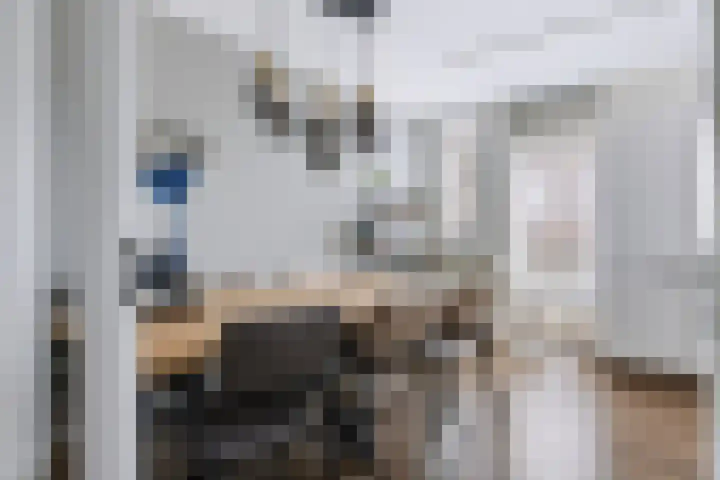 De Eglantier 317 Apeldoorn thumbnail 8