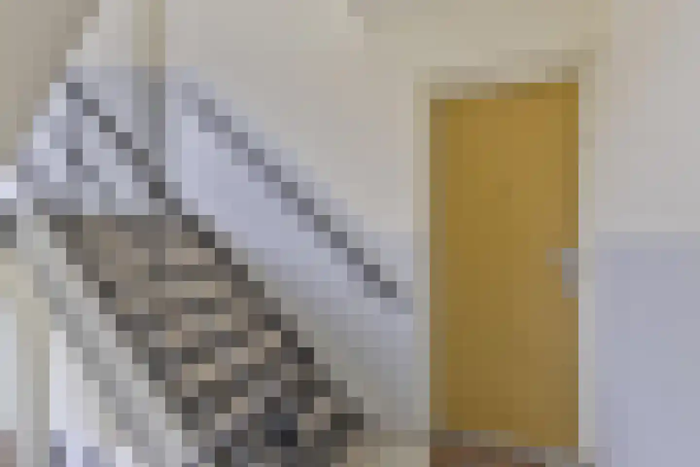 De Egmondenstraat 210 Amsterdam thumbnail 25