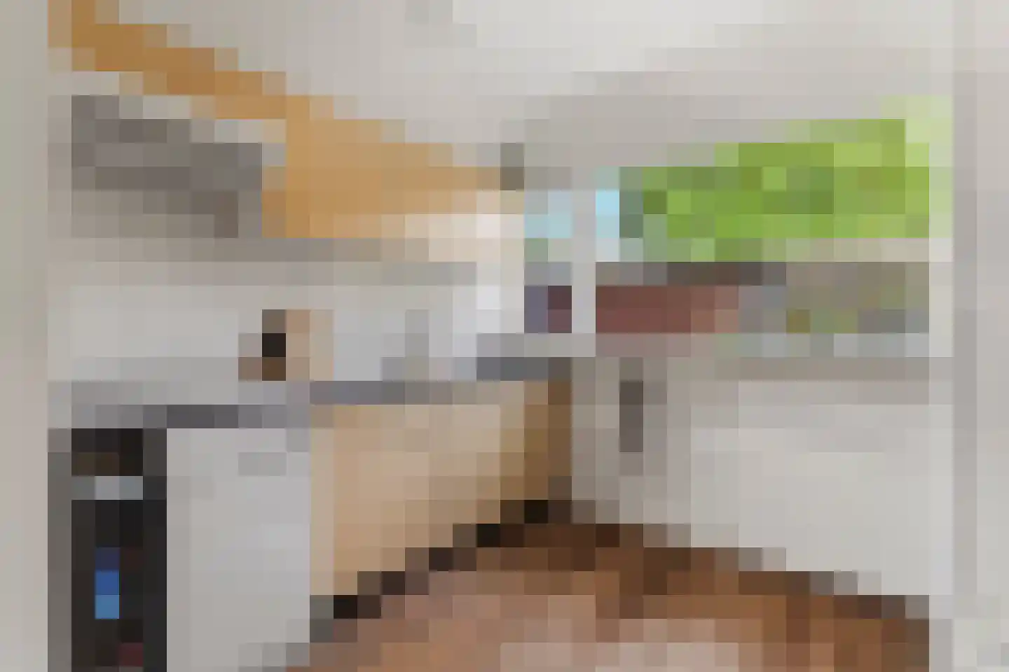 de Eik 132 Didam thumbnail 14