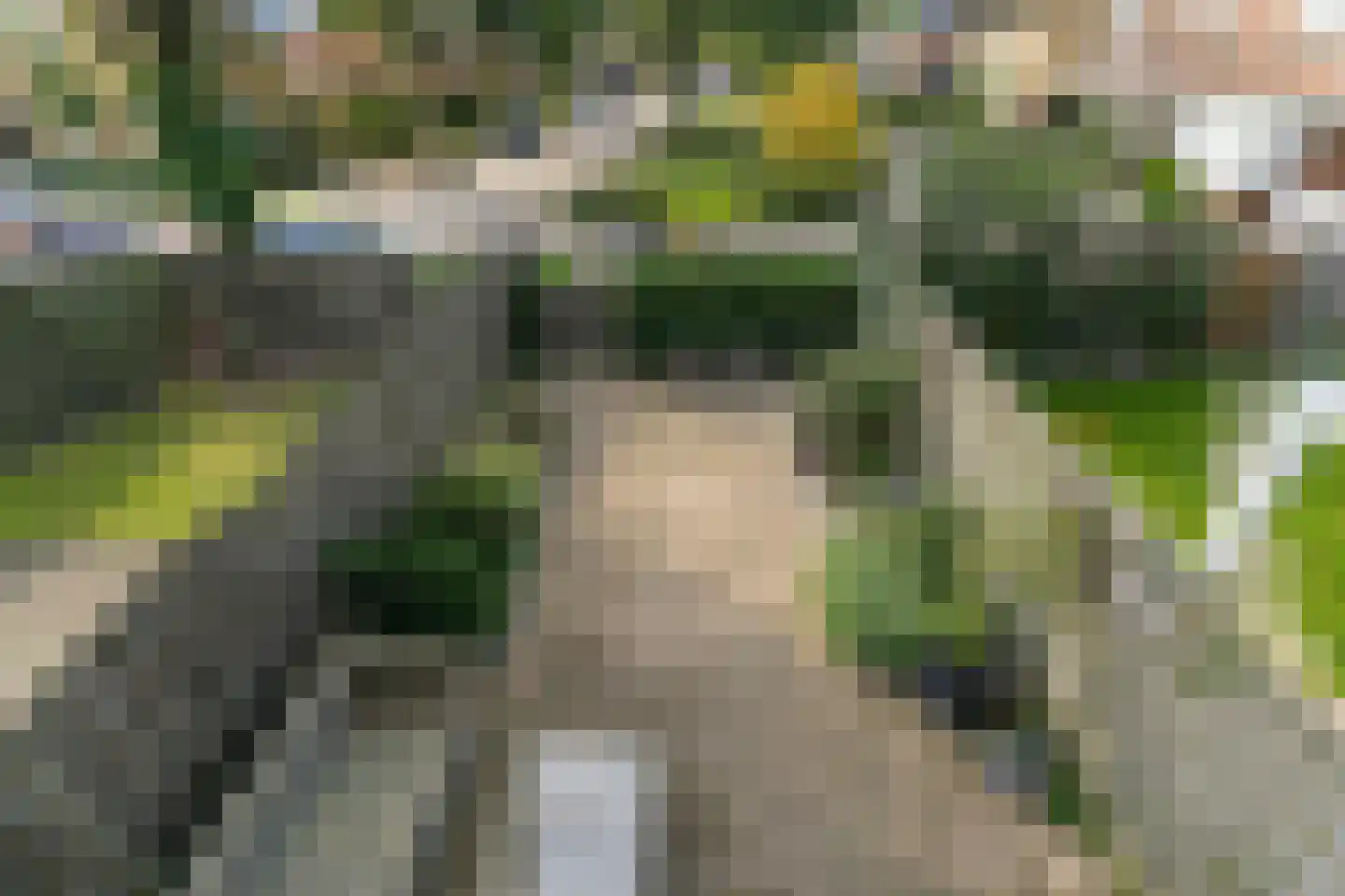 de Eik 132 Didam thumbnail 20