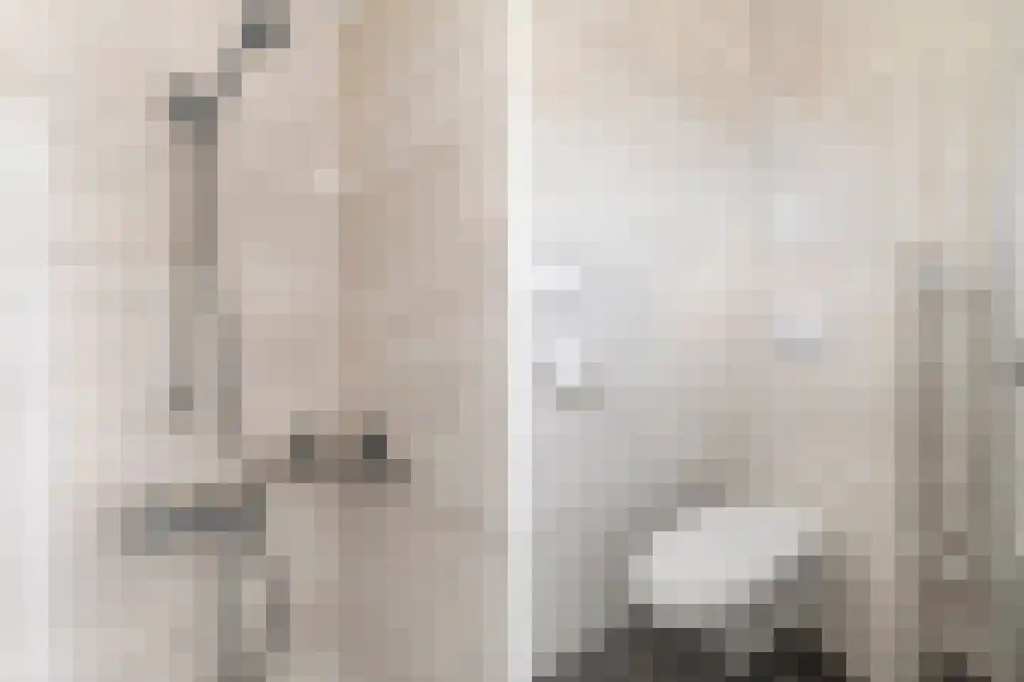 de Eik 132 Didam thumbnail 24