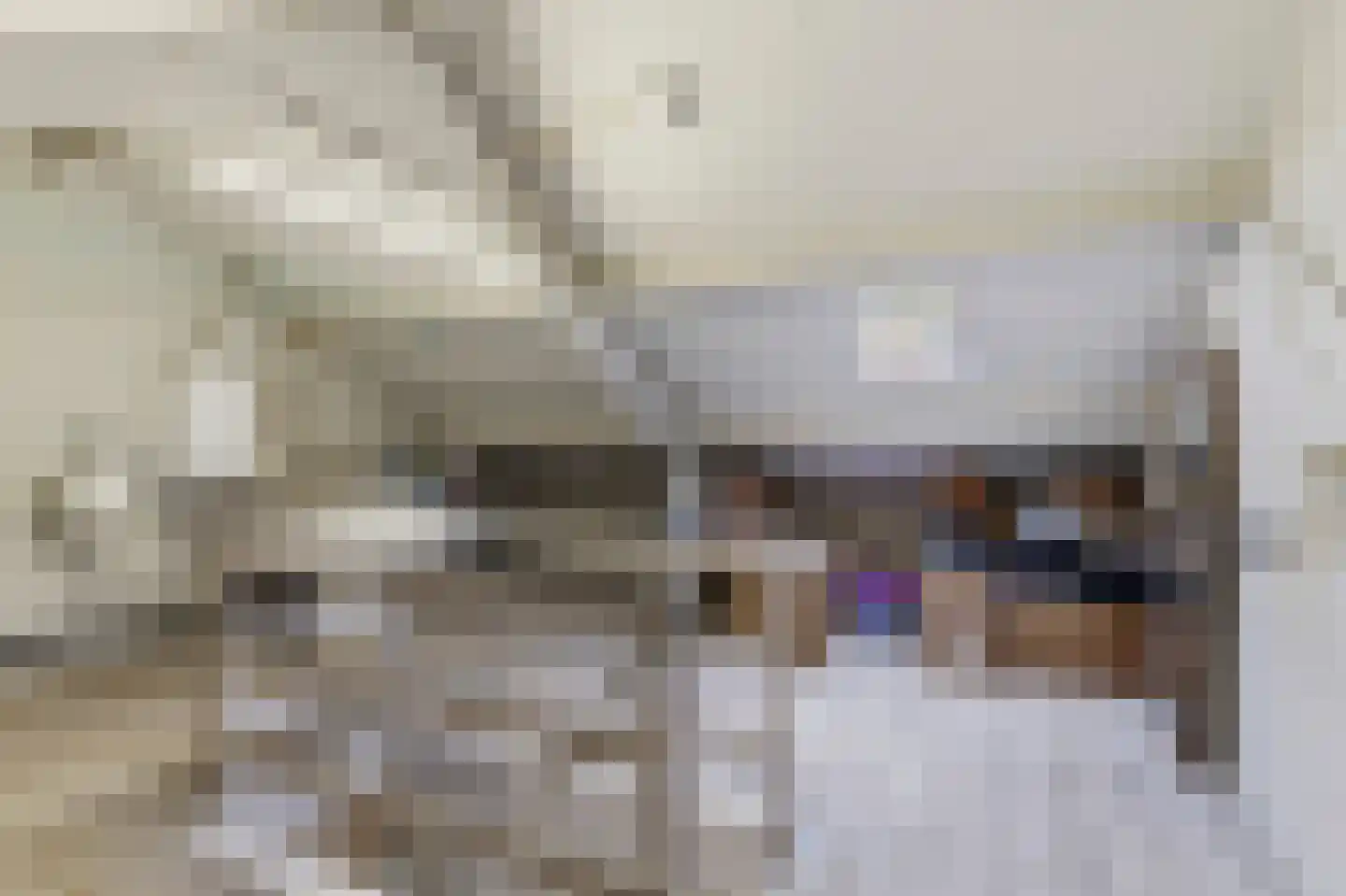 de Eik 132 Didam thumbnail 28