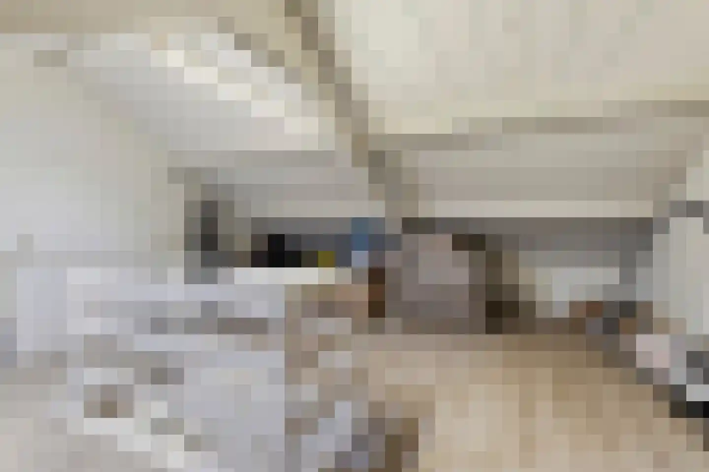 de Eik 132 Didam thumbnail 29
