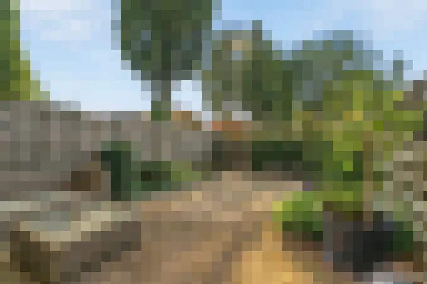 de Eik 132 Didam thumbnail 30