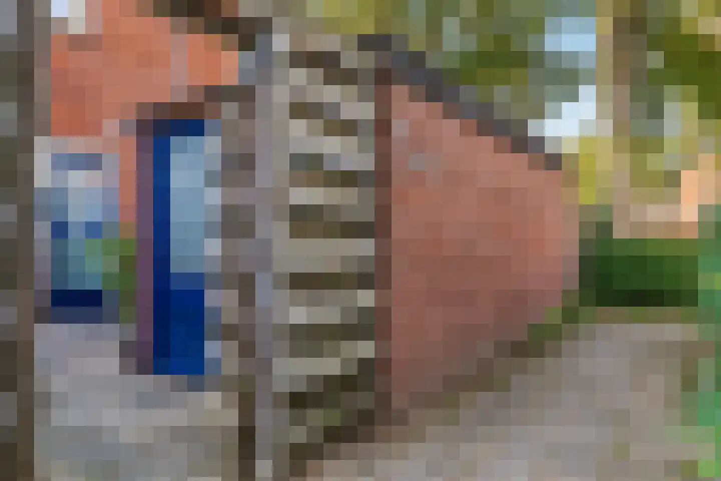 de Eik 132 Didam thumbnail 7