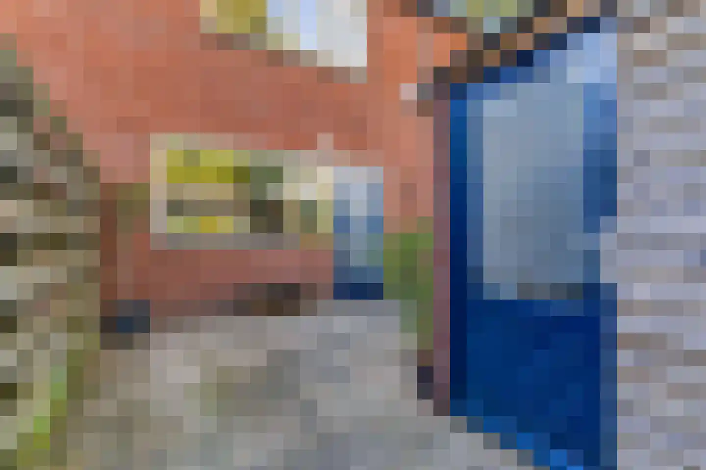 de Eik 132 Didam thumbnail 8