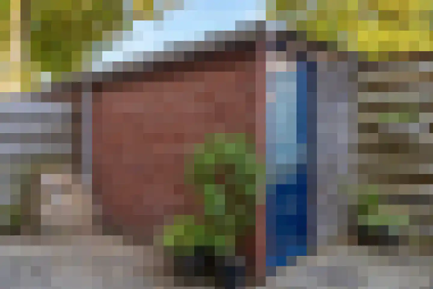 de Eik 132 Didam thumbnail 9