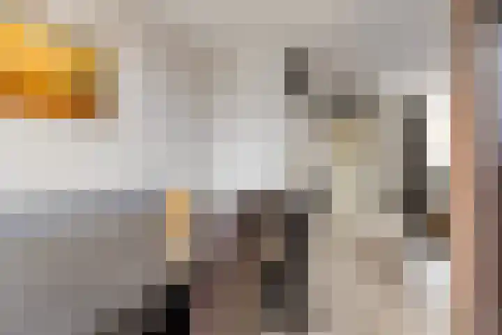 de Eik 18 Hoogerheide thumbnail 16